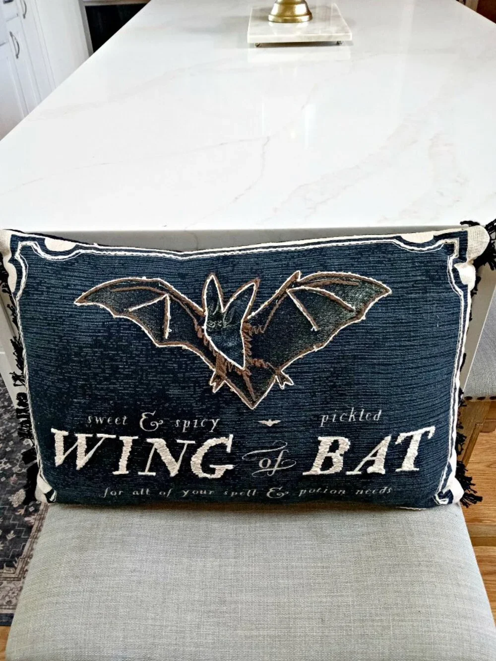 NEW! ENCHANTED Halloween POTIONS Wing Of Bat PILLOW